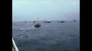 Carraig Una Trawler Search